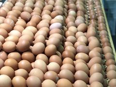 鸡蛋-金旭菜市场