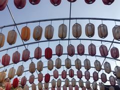 -婺源梦里老家大型山水实景演出