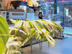 -1861意大利餐厅(文化广场店)