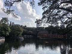 -晓港公园