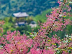 -周口店坡峰岭风景区