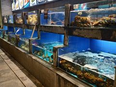 水产区-徐记海鲜(陕西历史博物馆|明德门店)