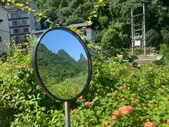 -村上春树