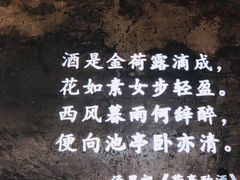 -胡桃里音乐酒馆(环亚凯瑟琳广场店)