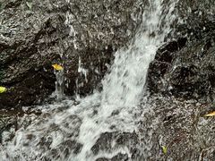 -马峦山郊野公园