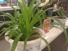 -李先生牛肉面大王(莱芜信誉楼店)