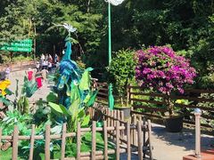 -西双版纳原始森林公园