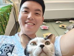 -有喵·猫咖·狗咖·30几只猫10只小狗(岗厦店)