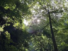 -藏龙百瀑风景区