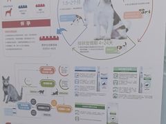 -芭比堂动物医院(广州爱宠下渡路分院)