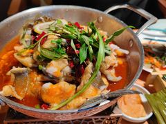 -菌自由丨野生菌火锅特色庭院餐厅(丽江古城店)