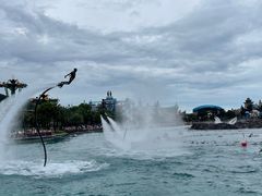 -珠海长隆海洋王国