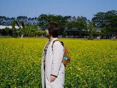 -迪茵湖田家舍生态农场