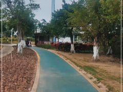 -芒洲湿地公园