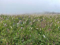 -白草畔自然风景区