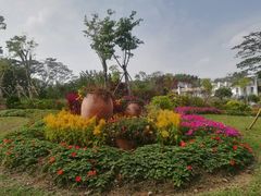 -东莞植物园