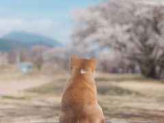 -彤德莱(奥林店)