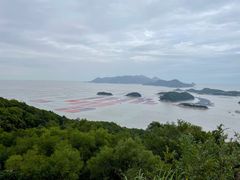 -花竹村
