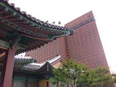 -新罗免税店(首尔总店)