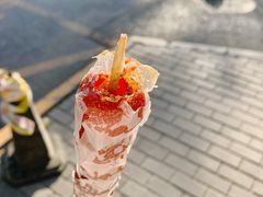 -和禄德冰糖葫芦