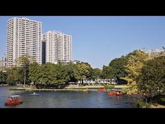 -荔湾湖公园