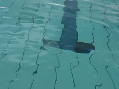 -城市海洋国标恒温游泳馆(株洲体育中心店)