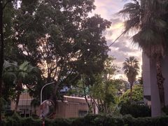 -仙岳公园