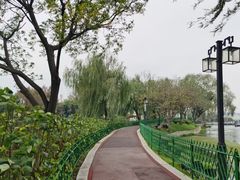 -金银湖国家城市湿地公园