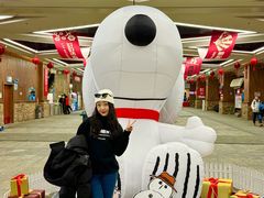 -哈尔滨热雪奇迹
