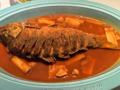 -阿五黄河大鲤鱼(英协路店)