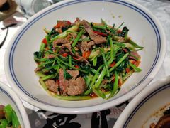香菜炒牛肉-壹盏灯(蚂蚁工房店)