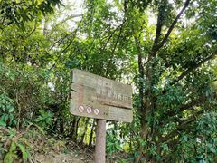 -梧桐山风景名胜区