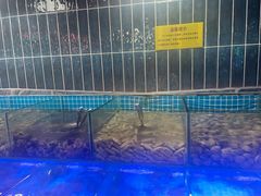 -海韵之星邮轮水会(明发商业广场店)