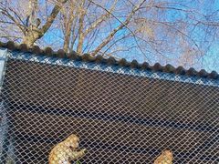 -长白岛森林公园