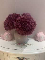 -北京俪婴妇产医院(朝阳大悦城店)