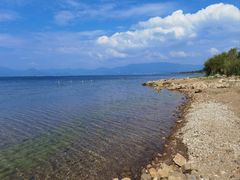 -月亮湾湿地公园
