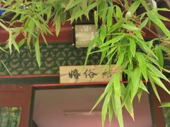 -王家大院
