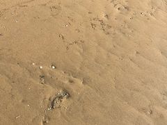 -刘家湾赶海园