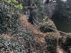 -叶家花园