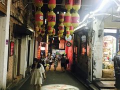 -猫咪博物馆(顶澳仔猫街店)