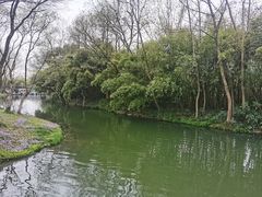 -西溪国家湿地公园