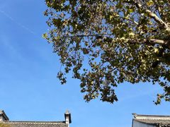 -栗酥饼(南长街店)