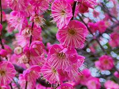 -洋湖国家湿地公园