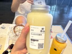 -野萃山·潮汕厚果汁(十亩地店)