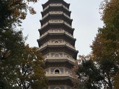-灵谷景区