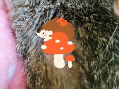 -艾贝尔宠物诊疗