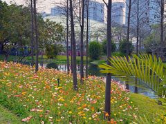 -云溪植物园