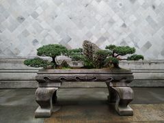 -胡雪岩故居