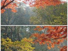 -岳麓山风景名胜区