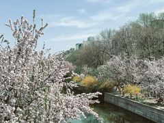 -海棠花溪(元大都城垣遗址公园)